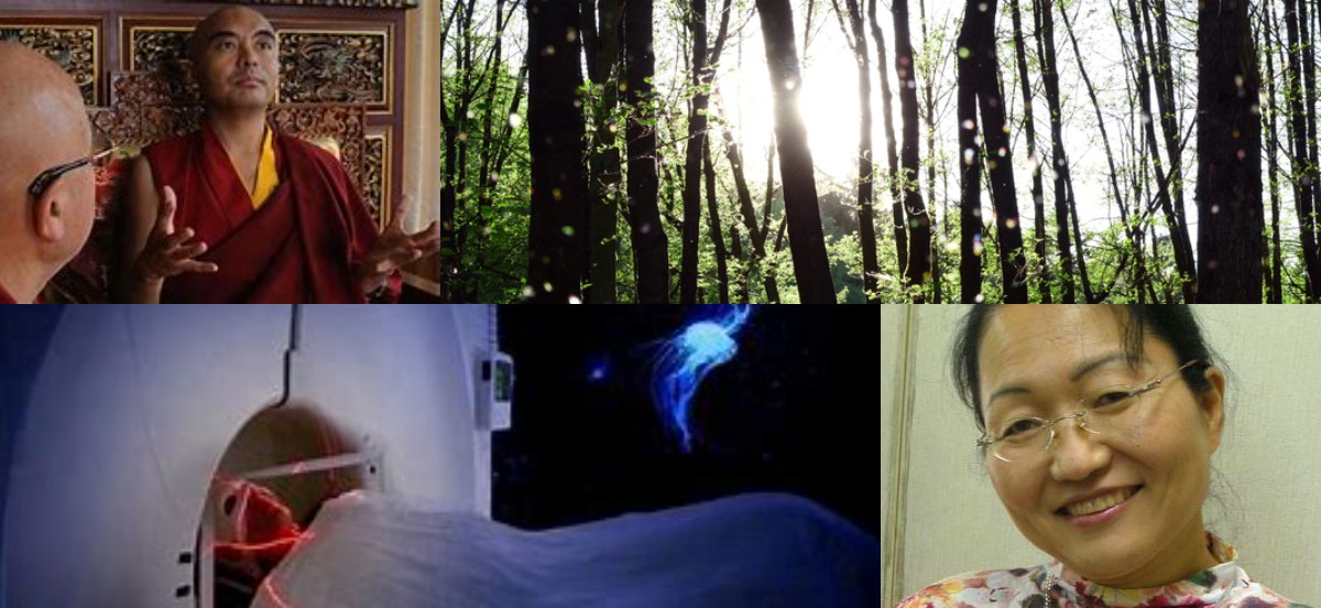 【2023.9.23】『気づきの一瞥:深淵なる意識の探求』上映＋森美智代先生講演